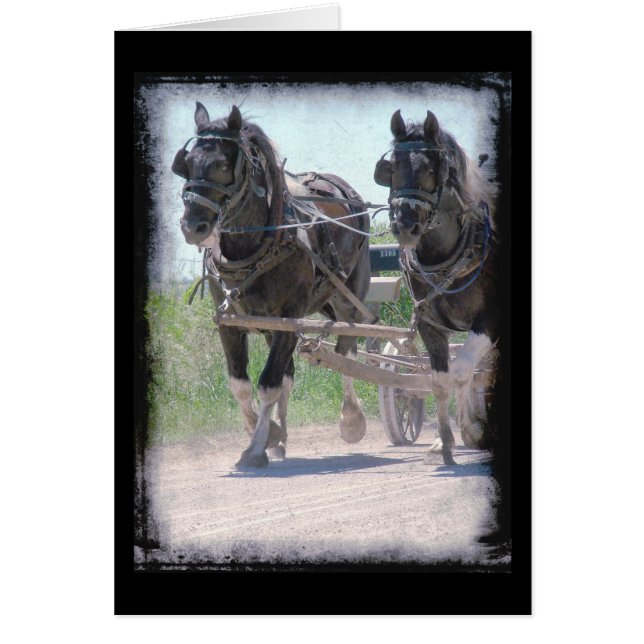 Cartão Pintos de trabalho (Frente)