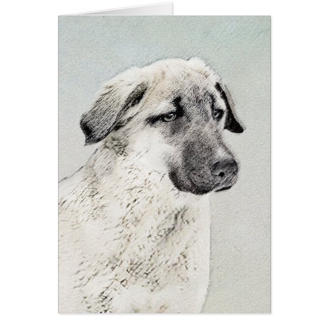 Cartão Pintura Anatoliana Shepherd - Arte Original para C (Frente)