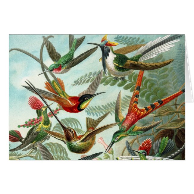 Cartão pintura clássica da fauna selvagem de beija-flor (Frente Horizontal)