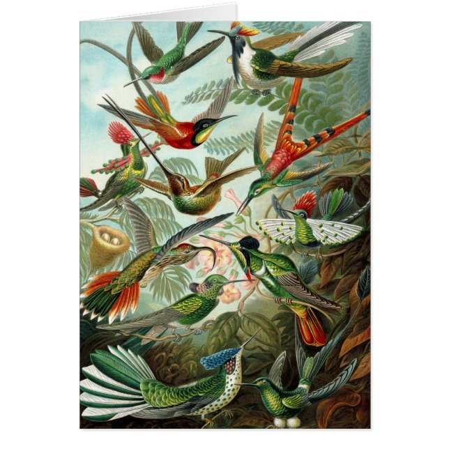 Cartão pintura clássica da fauna selvagem de beija-flor (Frente)