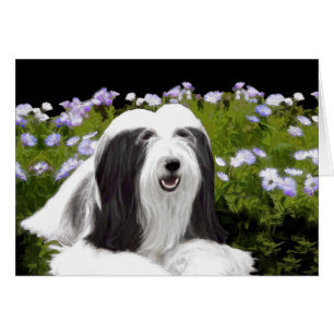 Cartão Pintura Collie com Manteiga - Arte Cachorra Origin