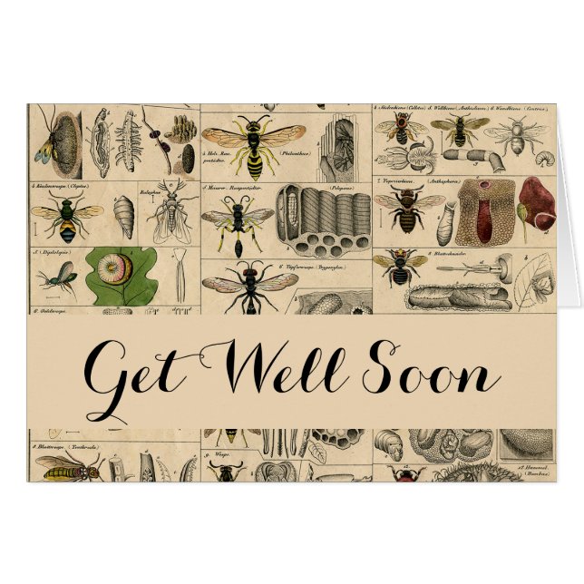 Cartão Pintura De Abelhas Insetos Insetos Vaza Natureza N (Frente Horizontal)