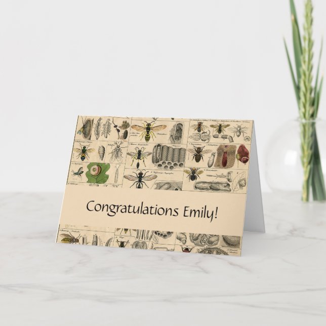 Cartão Pintura De Abelhas Insetos Insetos Vaza Natureza N (Frente)