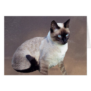 Cartão Pintura de Gatos Siameses