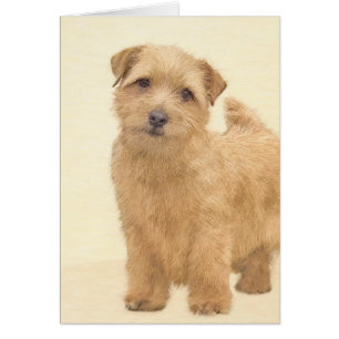 Cartão Pintura de Norfolk Terrier - Arte de cachorro orig