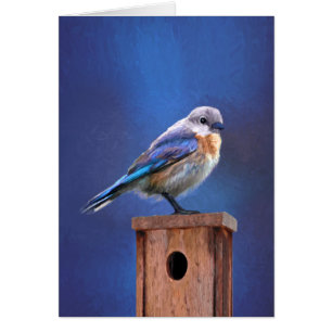 Cartão Pintura de pássaro-azul (feminina) - Arte de pássa