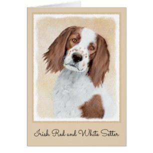 Cartão Pintura de Setores Vermelho e Branco Irlandês - Ar