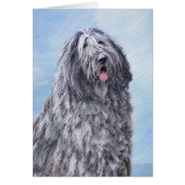 Cartão Pintura de Sheepdog Bergamasco - Cachorro Original (Frente)