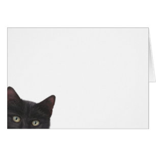 Cartão Pintura digital de Gatinho curiosa