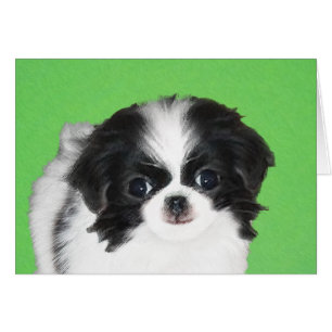 Cartão Pintura do filhote de cachorro de Chin do japonês