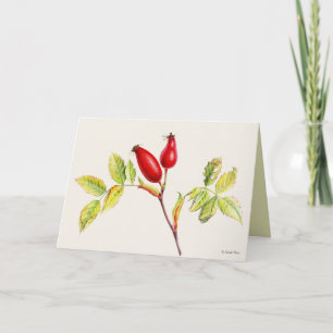 Cartão Pintura em aquarela botânica de frutos de rosa mos