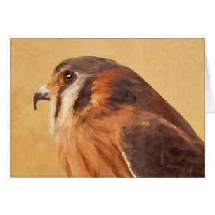 Cartão Pintura em Kestrel Americano - Arte de Pássaro Or