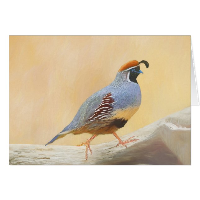 Cartão Pintura em Quail de Gambrel — Arte original sobre  (Frente Horizontal)