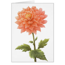 Pintura Floral Laranja Dahlia Flor