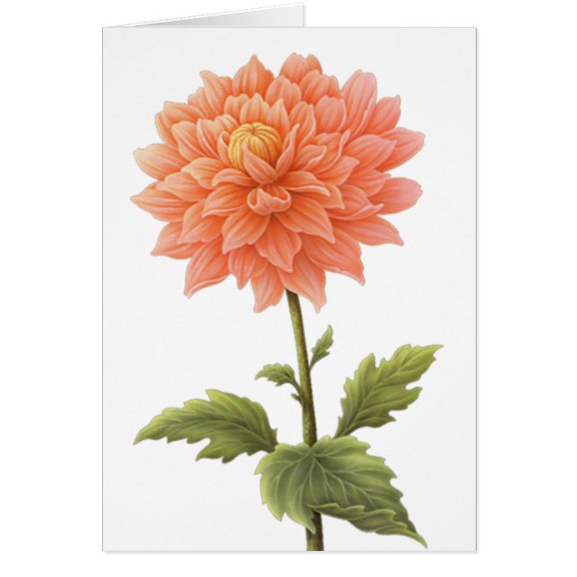 Cartão Pintura Floral Laranja Dahlia Flor (Frente)