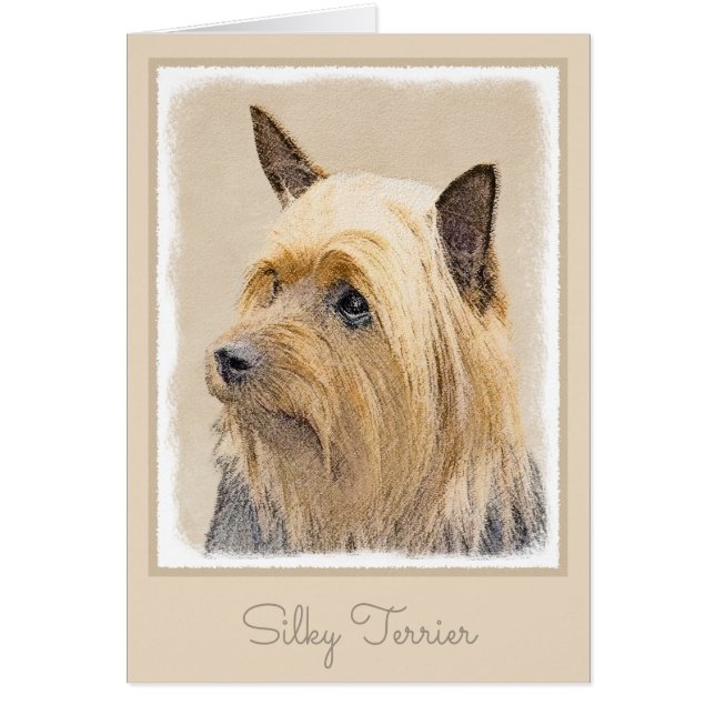 Cartão Pintura Silky Terrier - Arte Cachorro Original Cac (Frente)