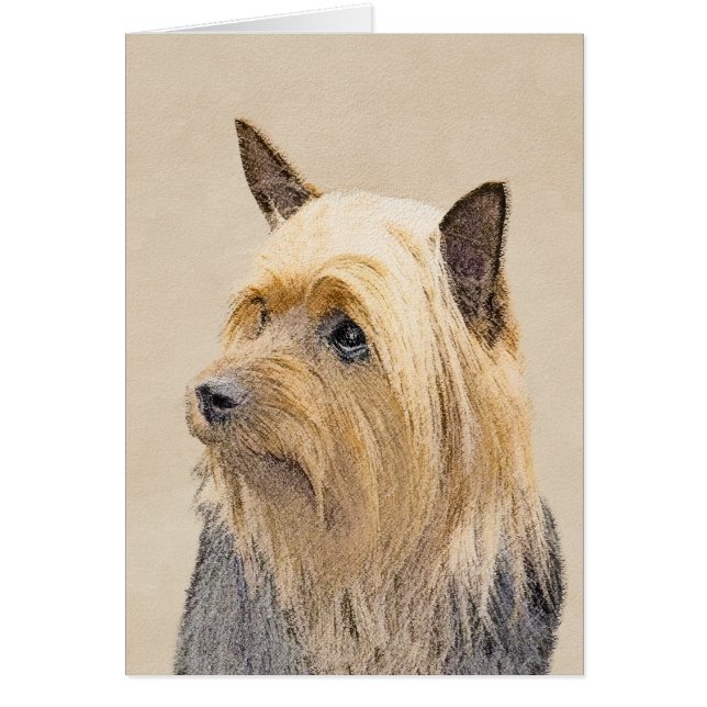 Cartão Pintura Silky Terrier - Arte Cachorro Original Cac (Frente)