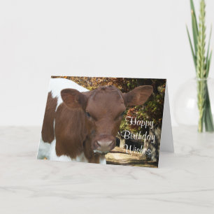 Cartão Pinzgauer calf Tansy-customize any occasin