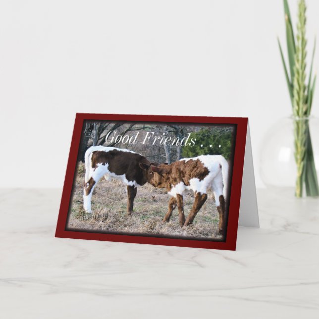 Cartão Pinzgauer Calves- AnyOccasion card-customize (Frente)