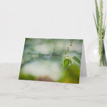 Pior amigo de sempre