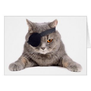 Cartão Pirata Cat
