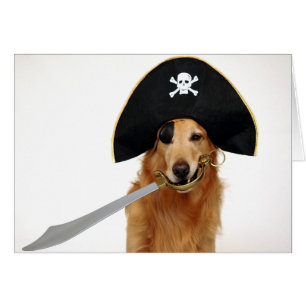 Cartão Pirata dourado