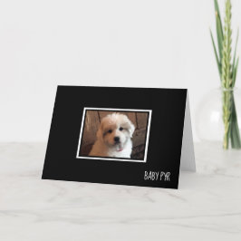 Cartão Pirenéus excelentes