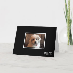 Cartão Pirenéus excelentes