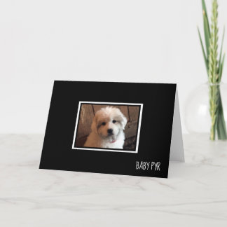 Cartão Pirenéus excelentes