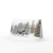 Piscando na neve - Trabalho de arte de cavalos em 