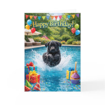 Piscina divertida com filhote de Labrador fazendo 