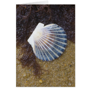 Cartão Piscina maré