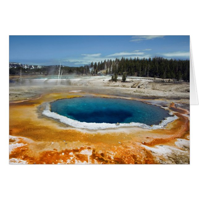 Cartão Piscina óptica (Frente Horizontal)