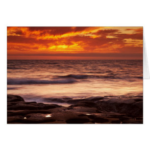 Cartão Piscinas de La Jolla Tide