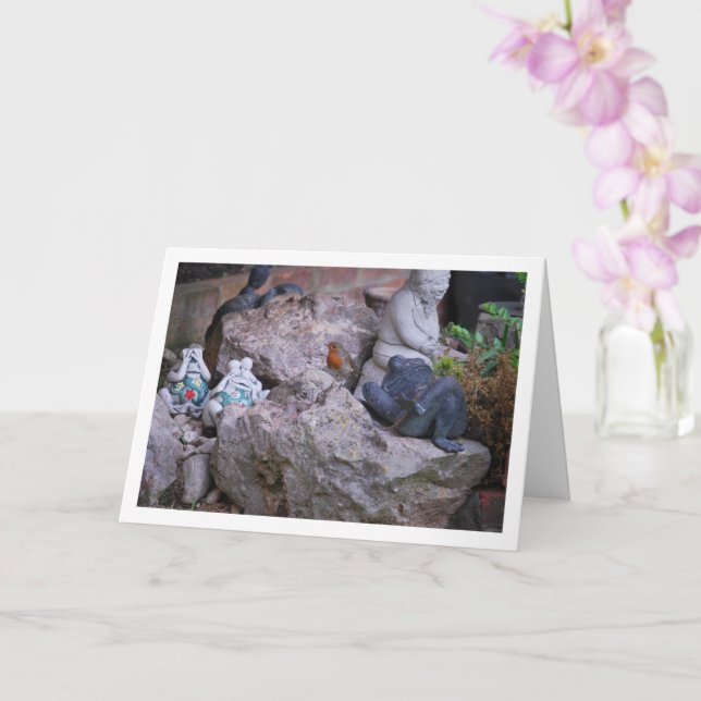 Cartão Pisco-de-peito-ruivo em Rocha (Orquídea)