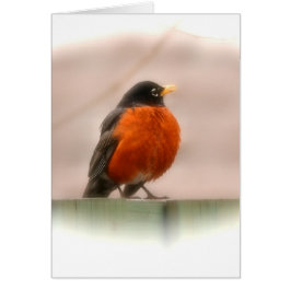 Cartão Pisco de peito vermelho animal do americano do