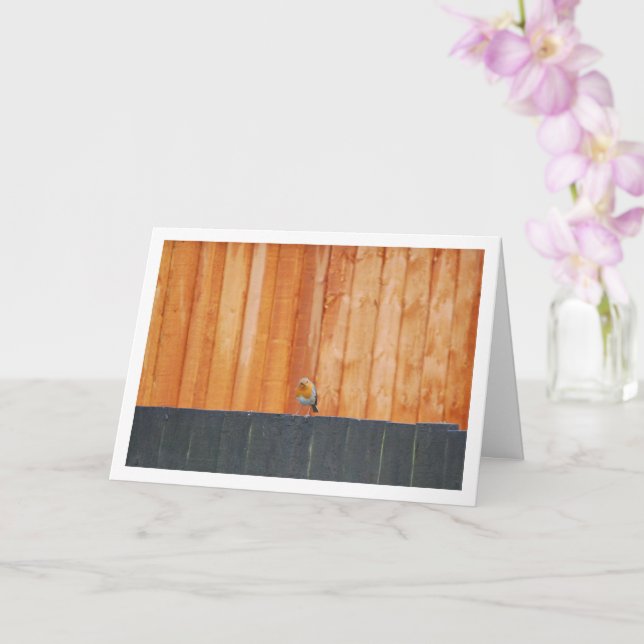 Cartão Pisco-de-peito-vermelho no Cercado (Orquídea)