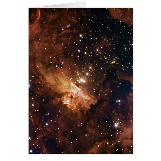 Cartão Pismis 24 estrelas castanhas NASA (Frente)