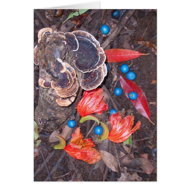 Cartão Piso de Floresta Tropical (Frente)