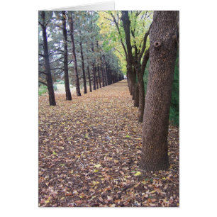 Cartão Pista do outono de Colorado