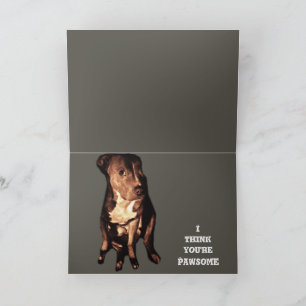 Cartão PIT BULL BIRTHDAY GREETING Card