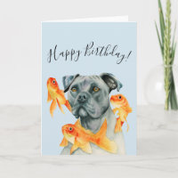 Pit Bull Dog e Goldfishes | Feliz aniversário