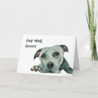 Pit Bull Dog | Fique Bem Em Breve