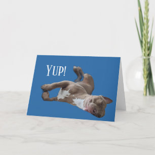 Cartão Pit Bull Engraçado