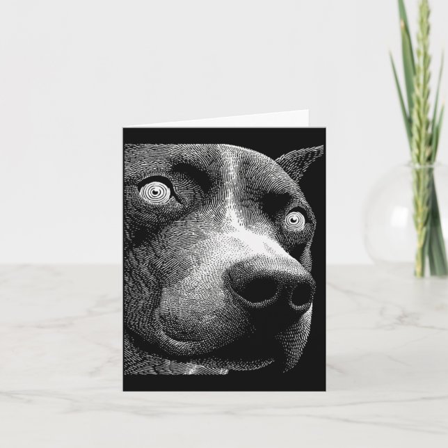 Cartão Pit Bull Hipnótico Olhos Estranhos Weirdcore Assus (Frente)
