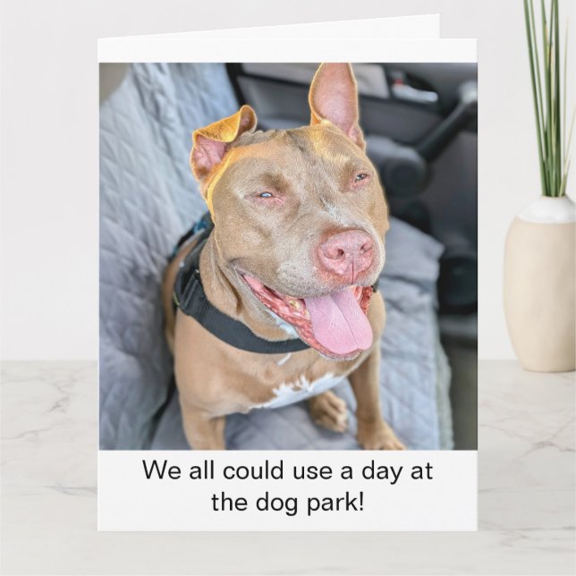 Cartão Pit Bull Sorridente Relaxe (Frente)
