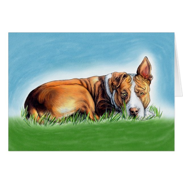 Cartão Pit Bull Te Enrola (Frente Horizontal)