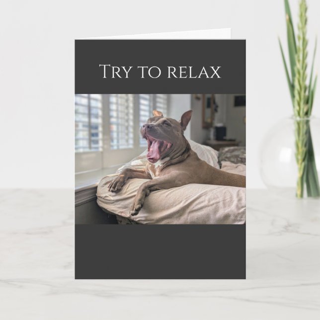 Cartão Pit Bull tenta relaxar, recupere-se (Frente)