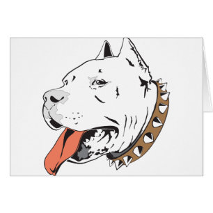 Cartão Pitbull