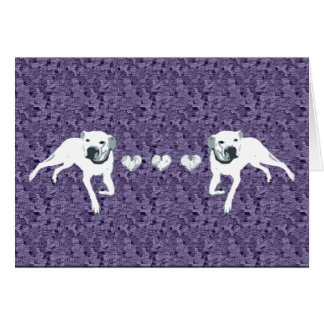 Cartão Pitbull americano branco com corações/roxo